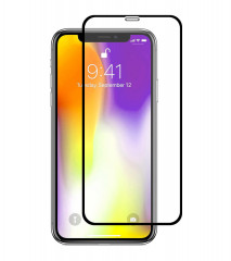 Защитное стекло Full screen PowerPlant для Apple iPhone X/XS, Black